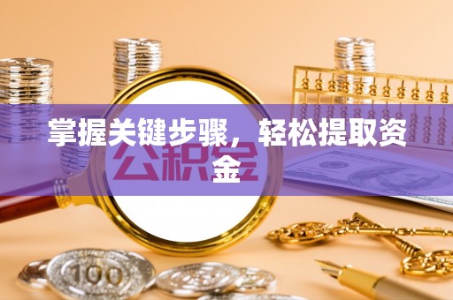 埔心掌握关键步骤，轻松提取资金