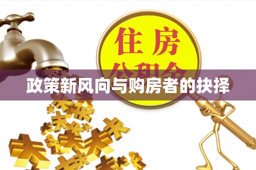 埔心政策新风向与购房者的抉择