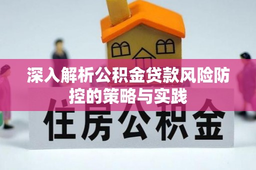 埔心深入解析公积金贷款风险防控的策略与实践
