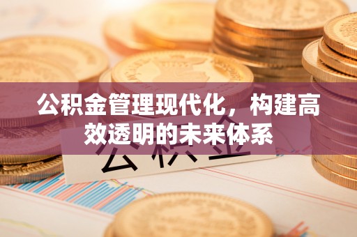 埔心公积金管理现代化，构建高效透明的未来体系