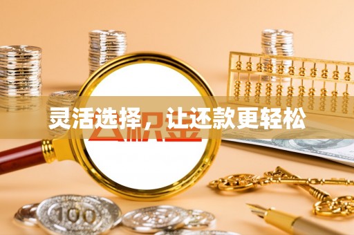 埔心灵活选择，让还款更轻松