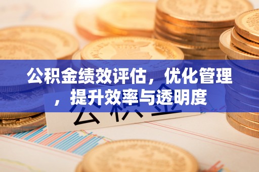 埔心公积金绩效评估，优化管理，提升效率与透明度