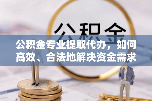 埔心公积金专业提取代办，如何高效、合法地解决资金需求？