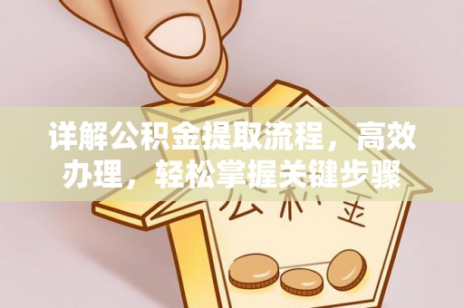埔心详解公积金提取流程，高效办理，轻松掌握关键步骤