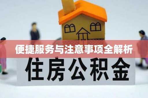 埔心便捷服务与注意事项全解析