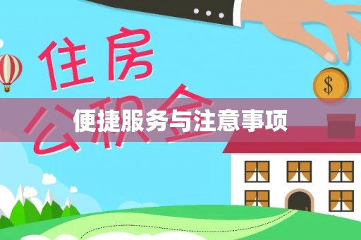 埔心便捷服务与注意事项