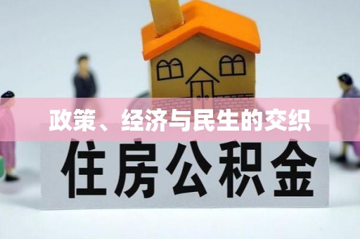 埔心政策、经济与民生的交织