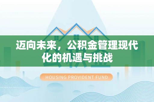 埔心迈向未来，公积金管理现代化的机遇与挑战