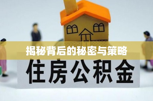 埔心揭秘背后的秘密与策略