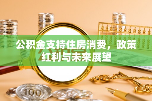 埔心公积金支持住房消费，政策红利与未来展望