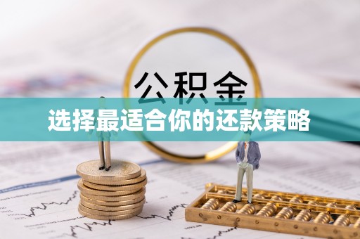 埔心选择最适合你的还款策略